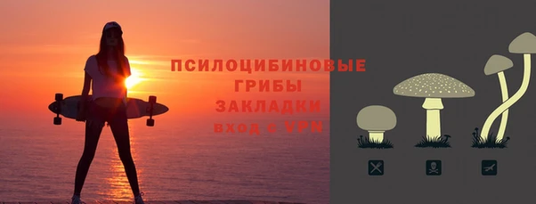 прущий лед Белокуриха