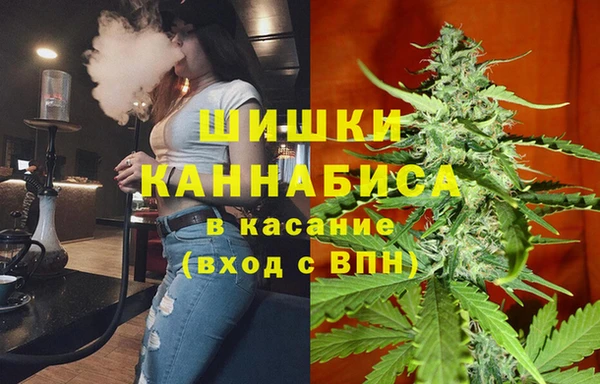 дмт Богородск